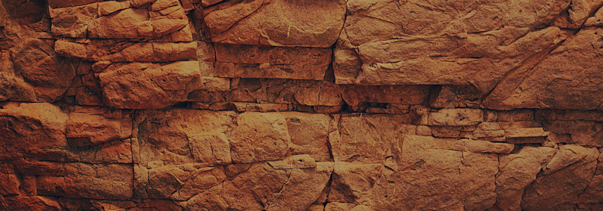 About Nehemiah Project of Love About Nehemiah Project of Love